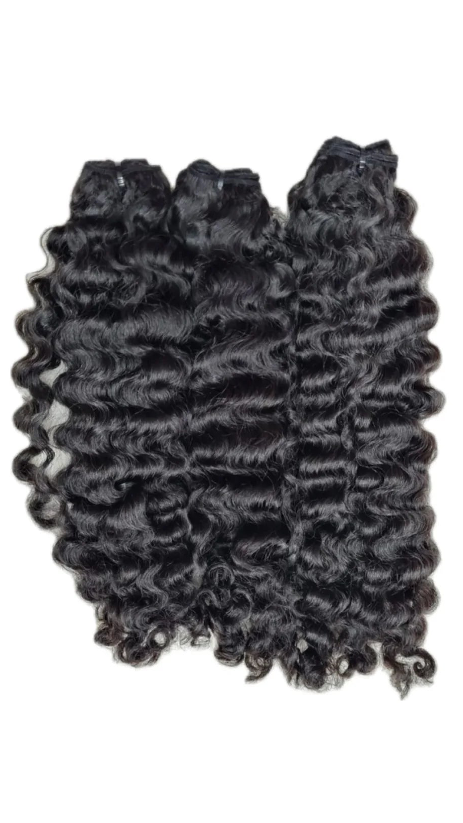 Burmese curly 3 Bundle Deal