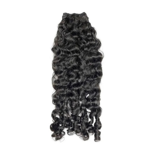 Burmese Curly